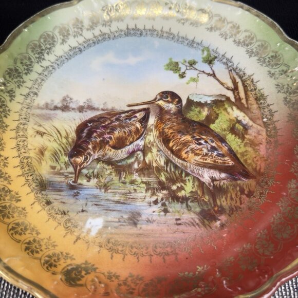German Bavaria Fine Porcelain Dish Plate Bird Sandpiper Birds Ornate Plate 9.5” - Picture 8 of 15
